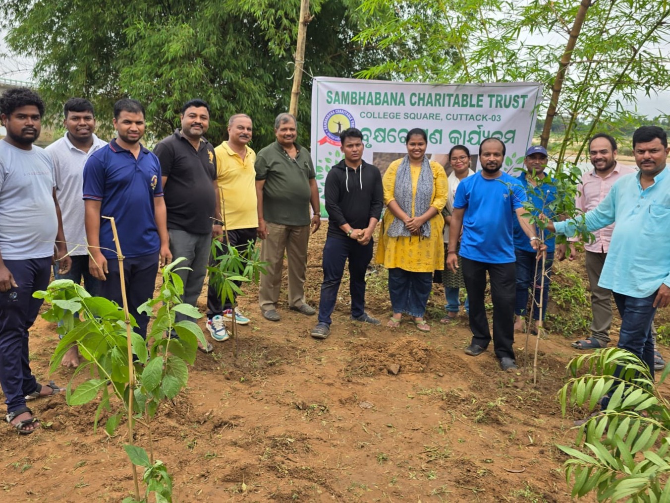 Tree Plantation Activity